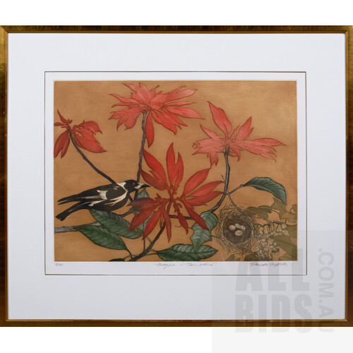 Pamela Griffith (born 1943), Magpie in Poinsettia, Etching & Aquatint, 45 x 60 cm (image)