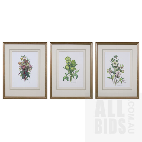 Delysia Jean Dunckley, Three Framed Botanical Studies: Helleborus Argutifolius; Helleborus Lividus & Helleborus x Hybridus, Gouache, each 34 x 24 cm (3)