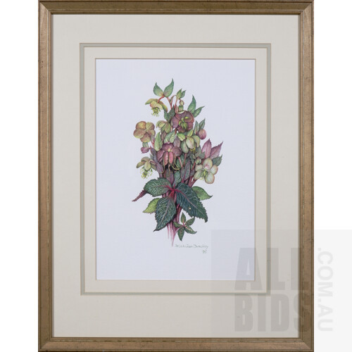 Delysia Jean Dunckley, Three Framed Botanical Studies: Helleborus Argutifolius; Helleborus Lividus & Helleborus x Hybridus, Gouache, each 34 x 24 cm (3)