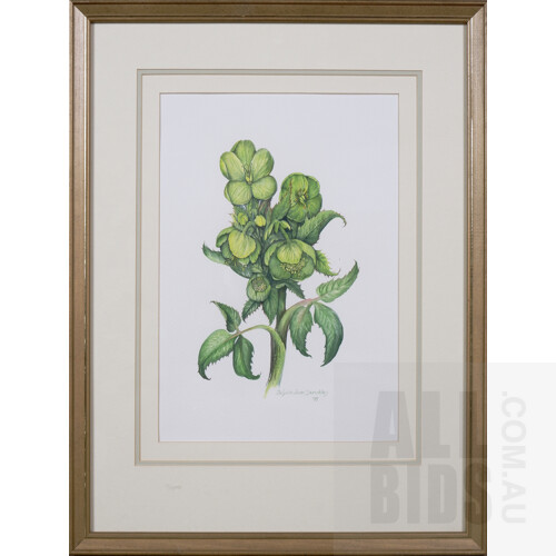 Delysia Jean Dunckley, Three Framed Botanical Studies: Helleborus Argutifolius; Helleborus Lividus & Helleborus x Hybridus, Gouache, each 34 x 24 cm (3)