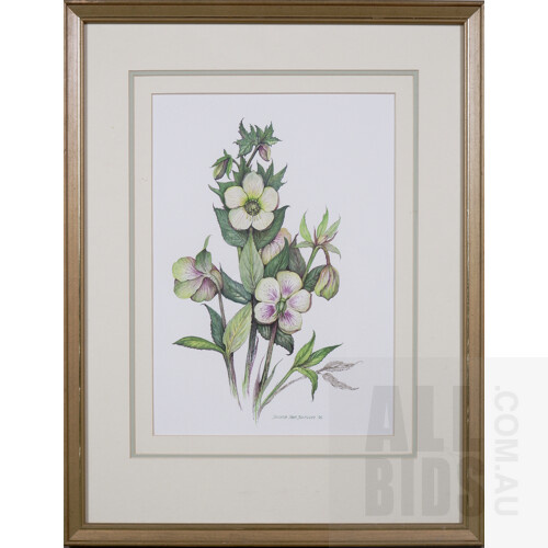 Delysia Jean Dunckley, Three Framed Botanical Studies: Helleborus Argutifolius; Helleborus Lividus & Helleborus x Hybridus, Gouache, each 34 x 24 cm (3)
