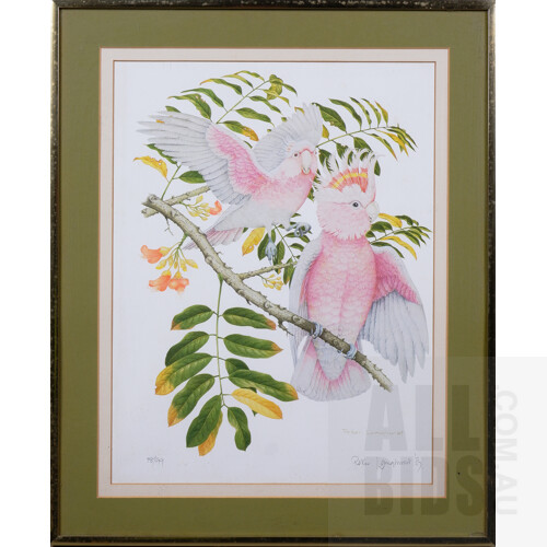 Peter Longhurst, Three Framed Limited - Lot 1363825 | ALLBIDS