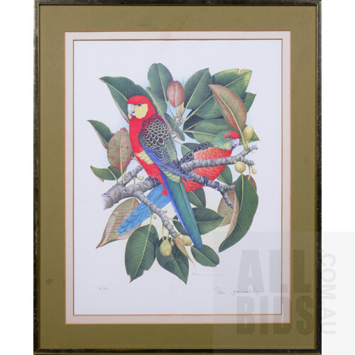 Peter Longhurst, Three Framed Limited - Lot 1363825 | ALLBIDS