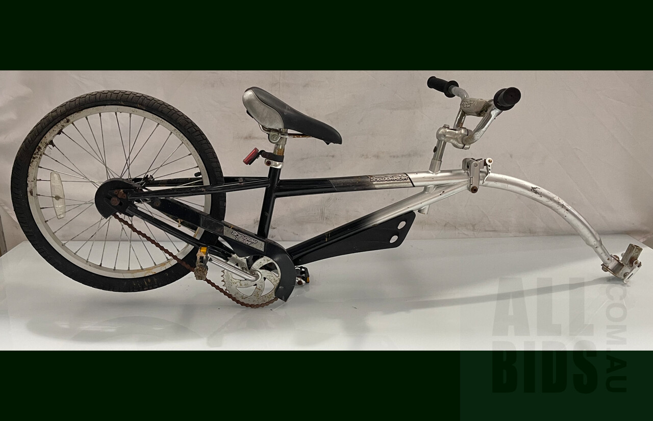 Bike Rack Alley Cat Shadow Trailer Bike Allen Bike Rack Allen Bike