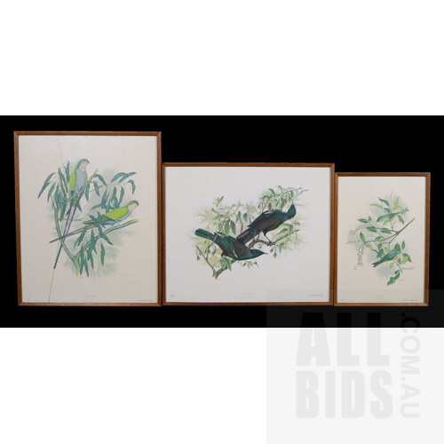Three Janet Marshall Limited Edition Offset Prints of New Zealand Birds, largest 58 x 41 cm (2)