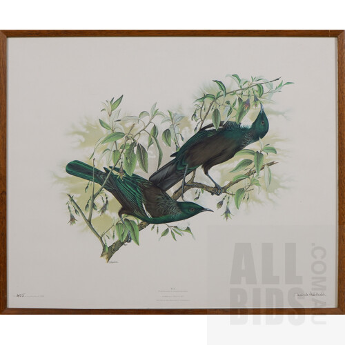 Three Janet Marshall Limited Edition Offset Prints of New Zealand Birds, largest 58 x 41 cm (2)
