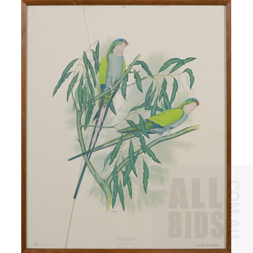 Three Janet Marshall Limited Edition Offset Prints of New Zealand Birds, largest 58 x 41 cm (2)