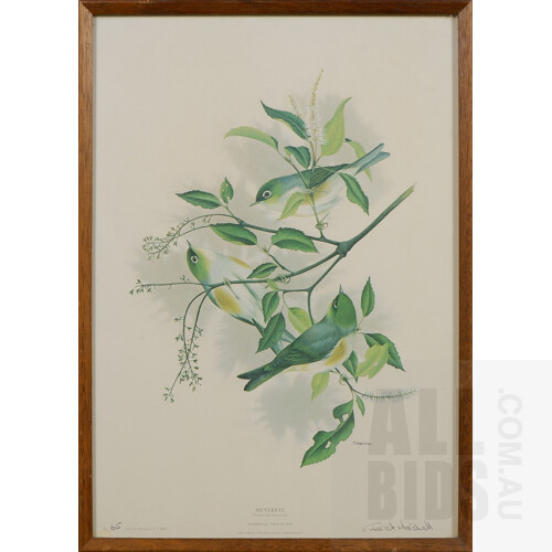 Three Janet Marshall Limited Edition Offset Prints of New Zealand Birds, largest 58 x 41 cm (2)