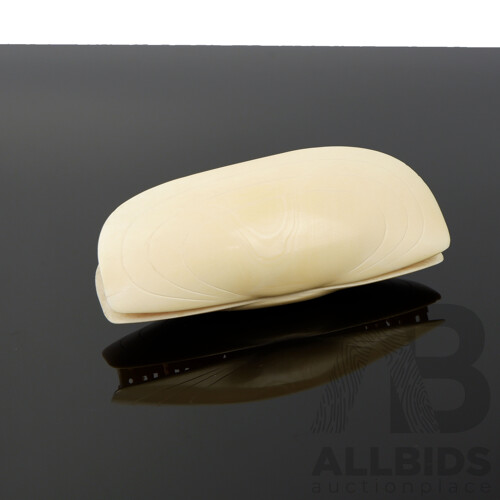 Indian Carved Ivory Clam Shell - Lot 1395381 | ALLBIDS