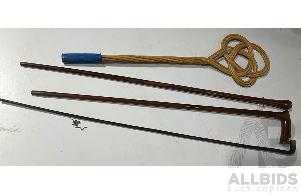 Collection Three Vintage Wooden Walking Sticks Along with Vintage Cane Carpet Beater
