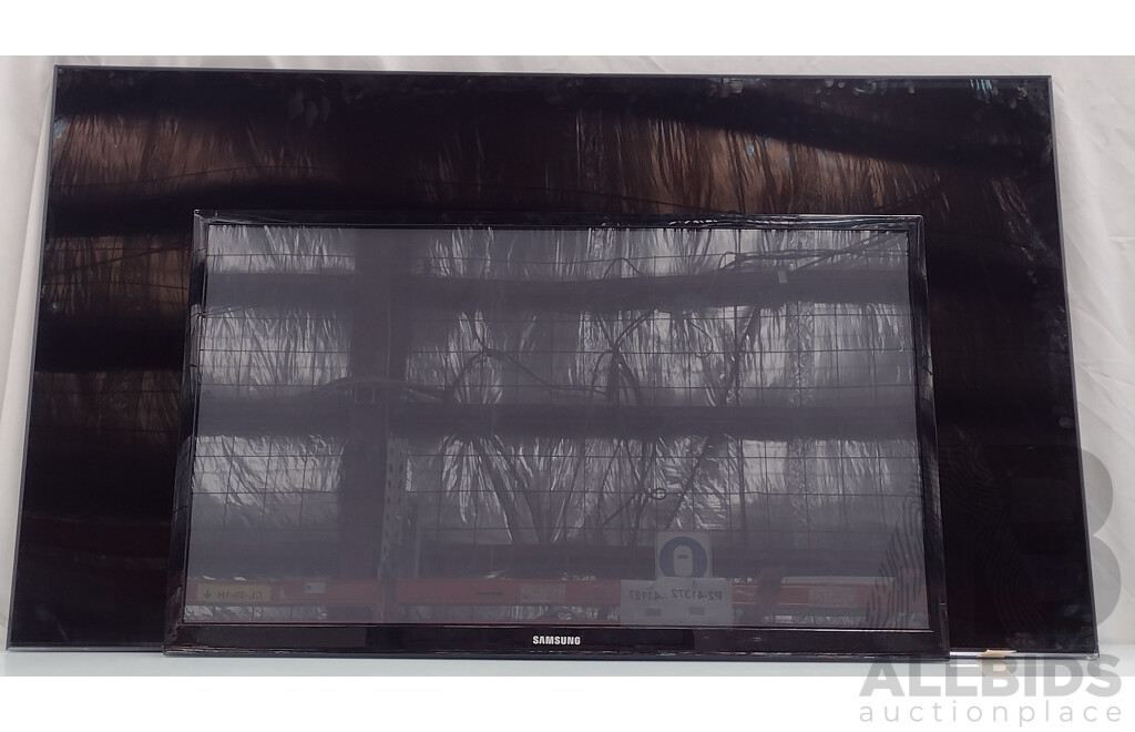 Samsung (PS51E450) 51-Inch HD Plasma TV and Damaged Display