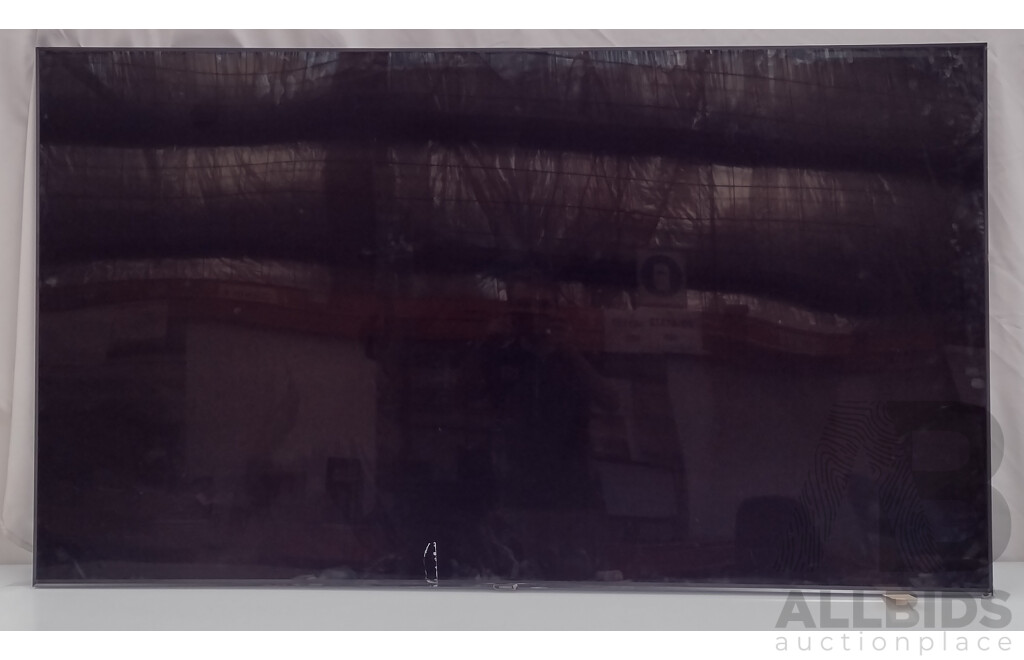 Samsung (PS51E450) 51-Inch HD Plasma TV and Damaged Display