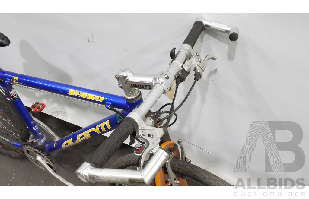 Avanti Hammer 16 Inch Mountain Bike