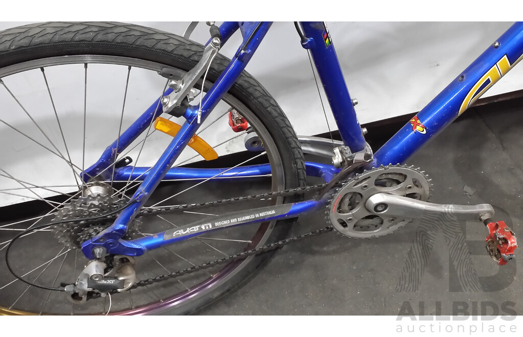 Avanti Hammer 16 Inch Mountain Bike