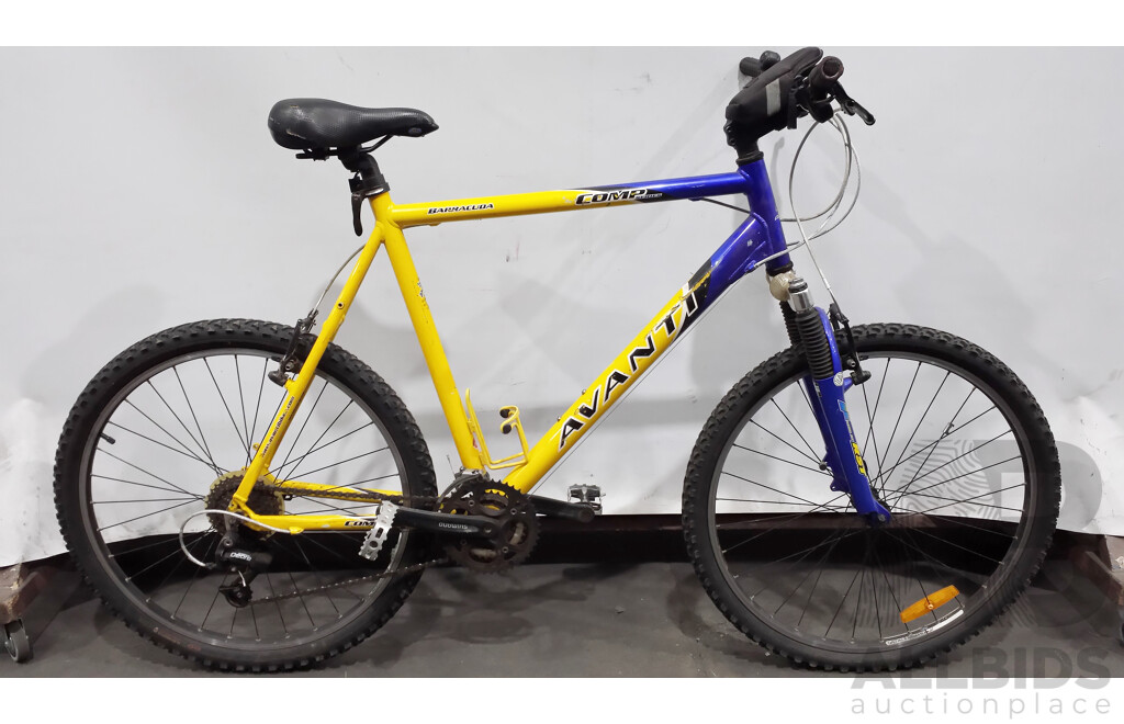 Avanti Barracuda Comp Series 23 Inch Mountain Bike