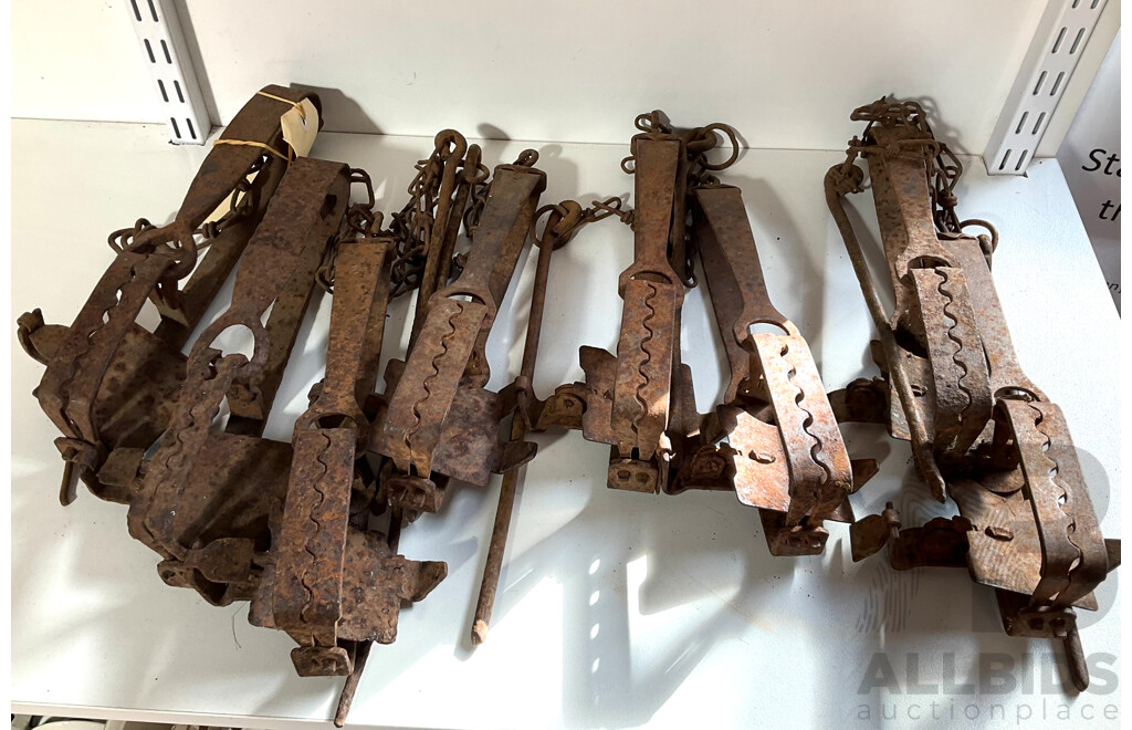 Eight Vintage Rabbit Traps for Display Purposes Only