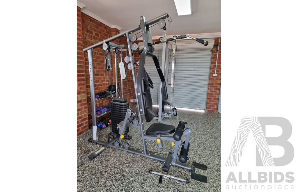 Weight Lifting Celsius Gym Equipment Website Discount Celsius St1