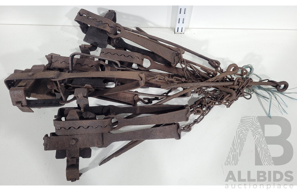 Ace Rabbit Trap Collection Ten Antique Ace Brand - Lot 1487142 | ALLBIDS