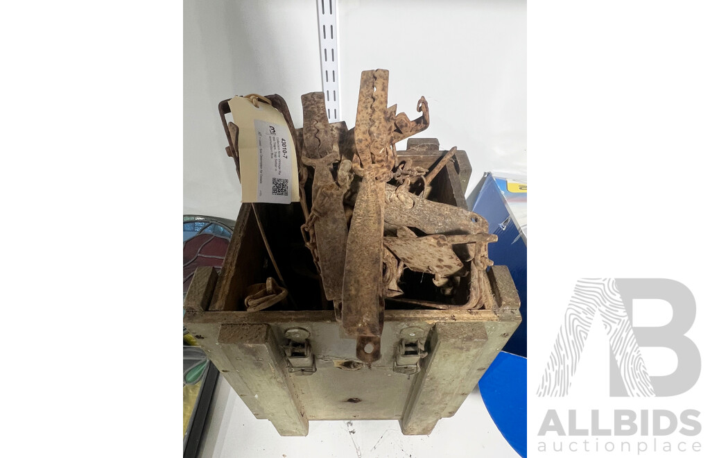 Collection Nine Vintage Rabbit Traps, Trap Setter in Ammunition Box
