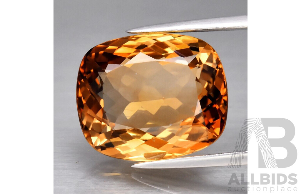 Champagne TOPAZ: Natural - Lot 1484920 | ALLBIDS