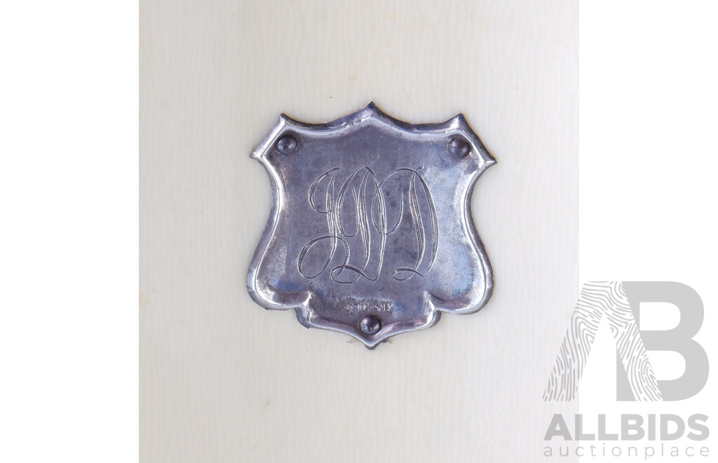 Antique Py Ra Lin Celluloid Hair Brush with Sterling Silver Sheild in Leather Case