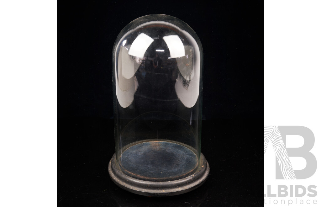 Antique Late Victorian Glass Dome on Wooden Base