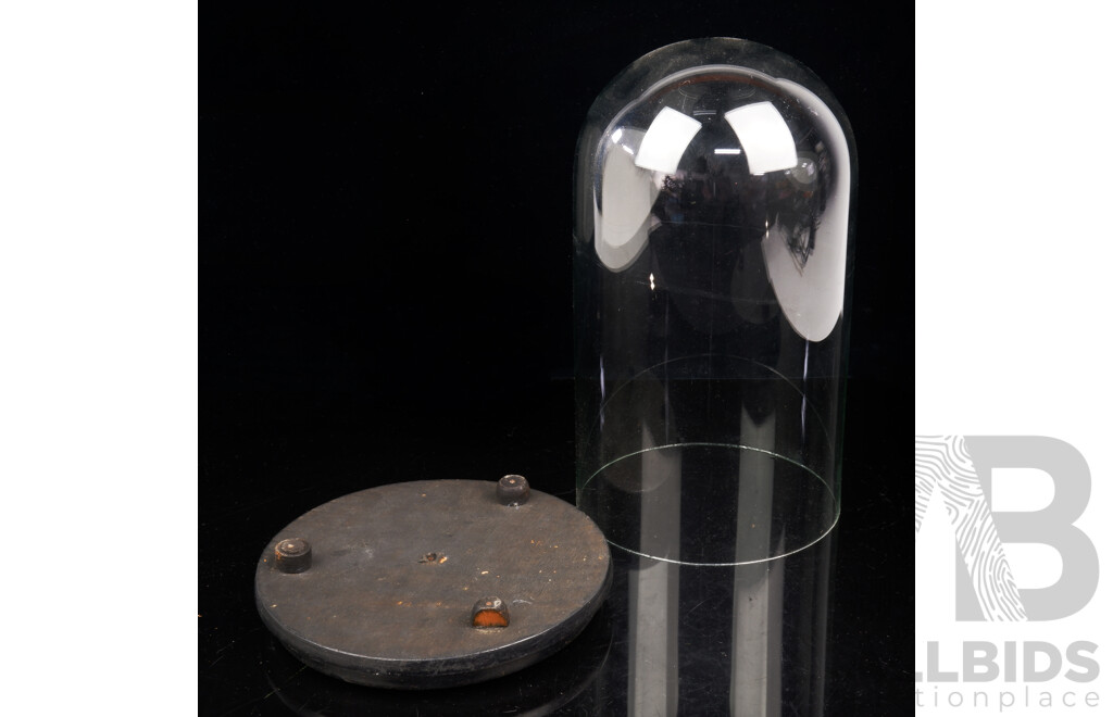 Antique Late Victorian Glass Dome on Wooden Base