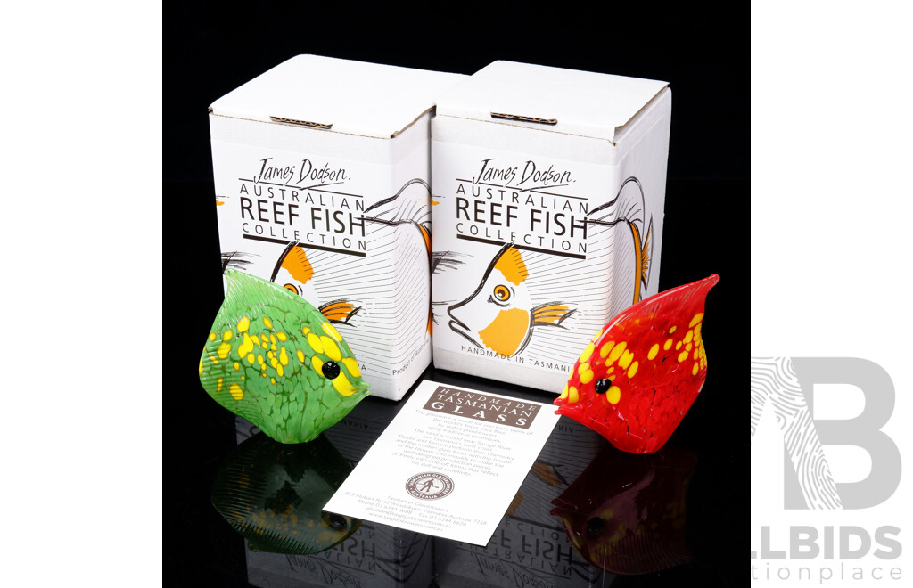Two Hand Blown Australian Studio Art Glass Fish Figurines by James Dodson From Tasmanian Glassblowers in the Australian Reef Fish Series in Original Boxes