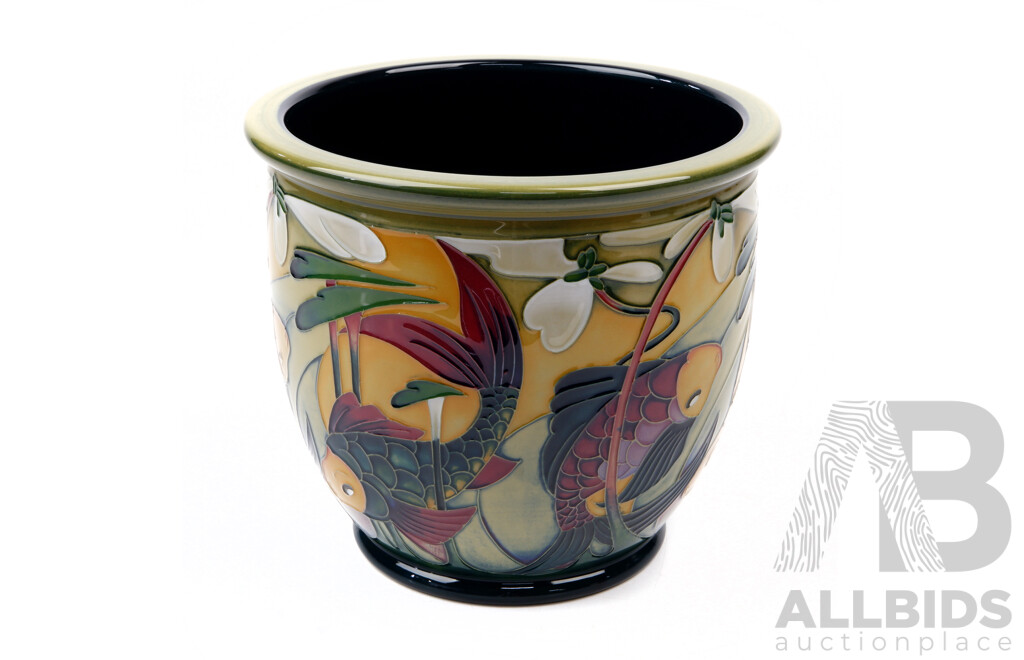 Limited Edition 30 of 75 Moorcroft Porcelain Jardiniere in Carp Circles Design by Nicola Slaney in Original Box
