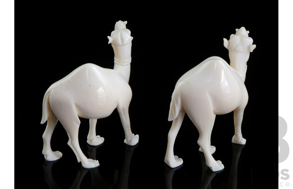 Pair Vintage Ivory Camel Figures