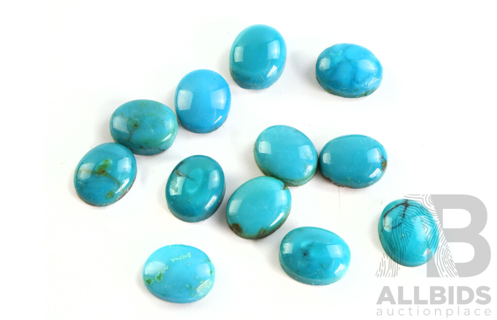 Twelve Oval Cabochons of Turquoise