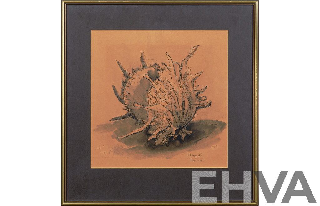 Shell Study Signed 'Chung' and Dated 1966, Ink on Paper
