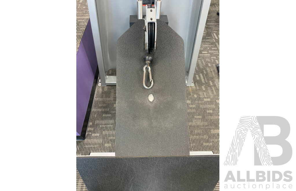 Precor Commercial  Longpull Machine 302