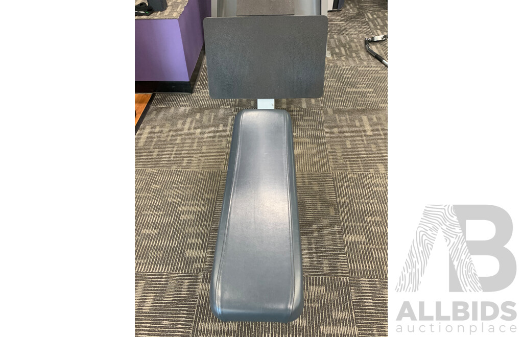 Precor Commercial  Longpull Machine 302