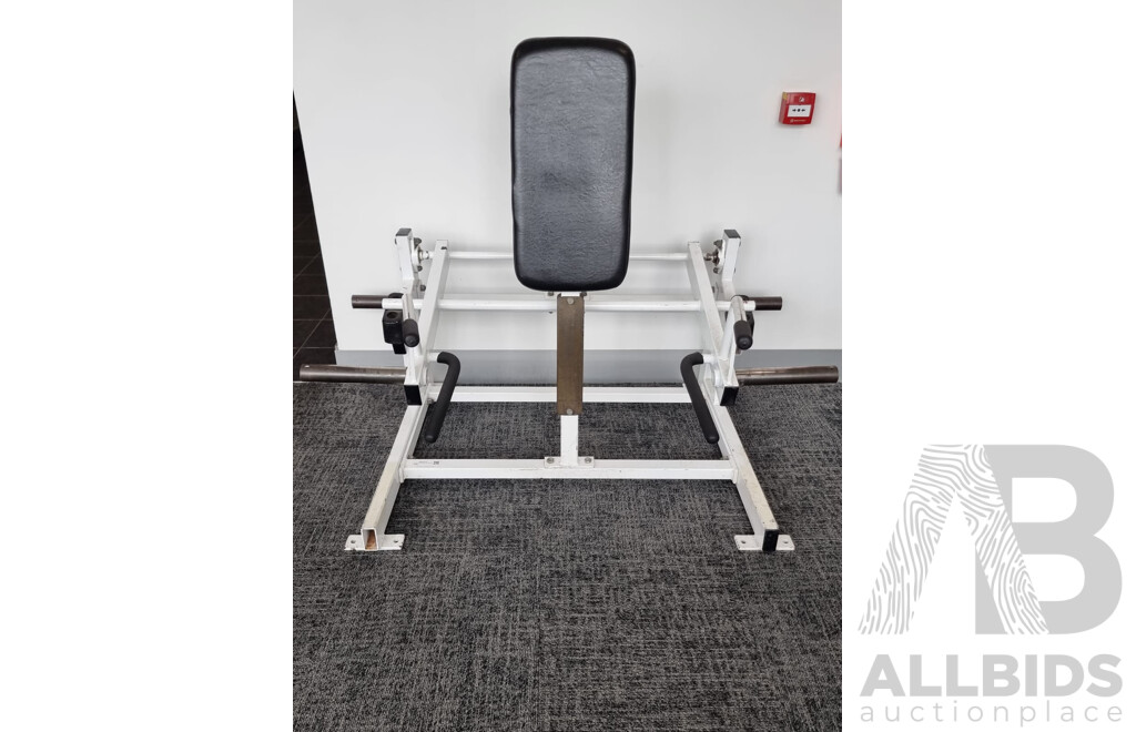 Commercial Ground Based Squat/Lunge