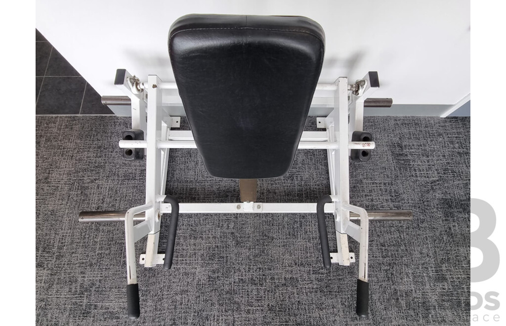 Commercial Ground Based Squat/Lunge