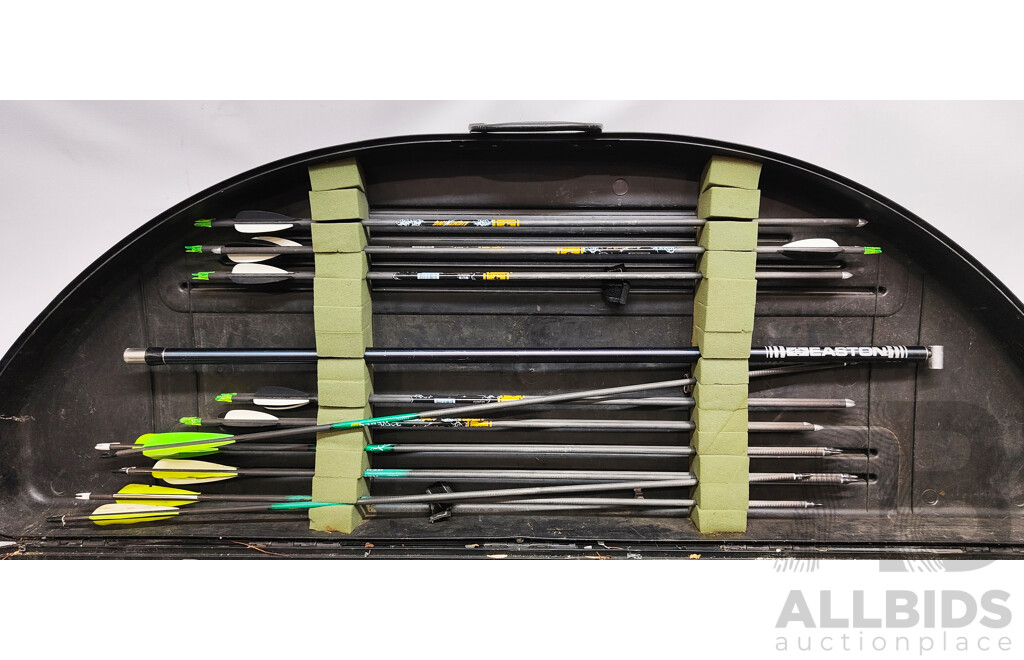 DARTON Toxonics Cyclone with Arrows, Quiver and Hard Case