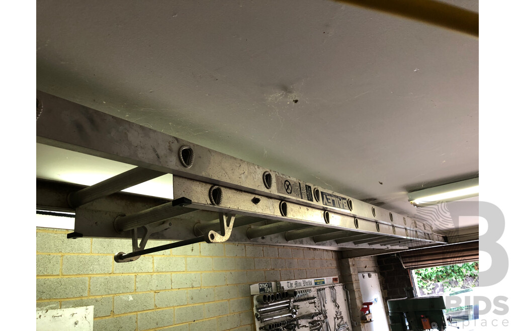 Collection of Various Size Ladders, Work Platforms and a Saw Horse