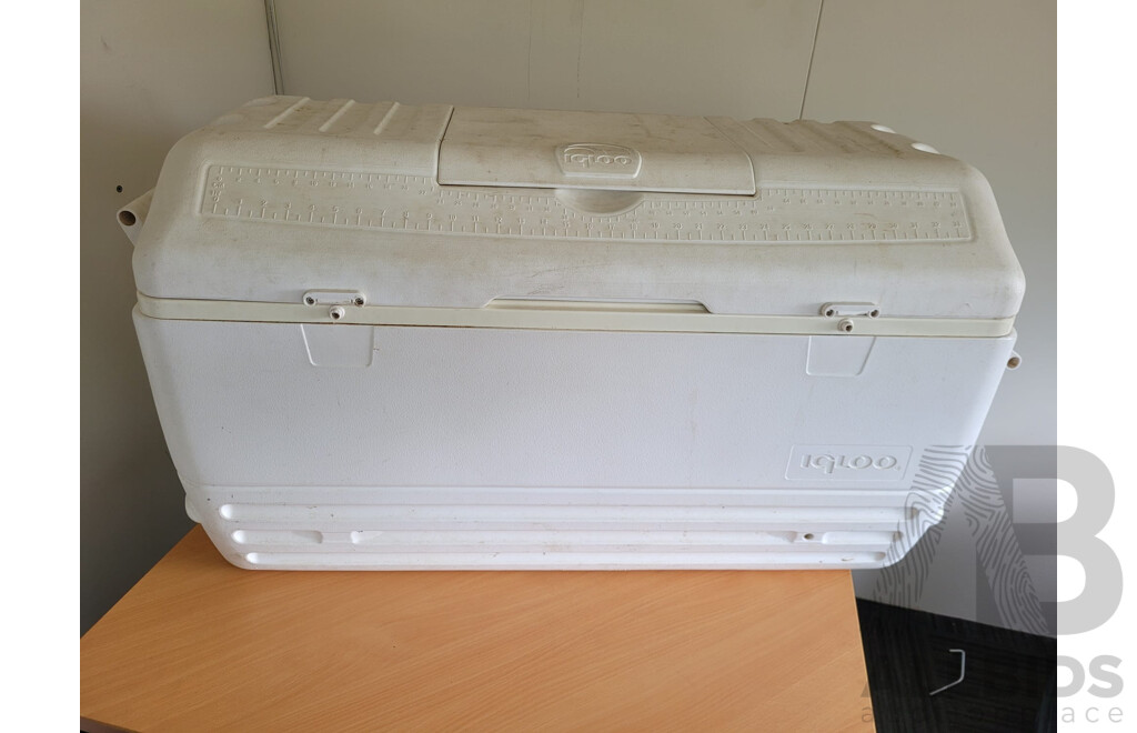 IGLOO Cool Box 165L
