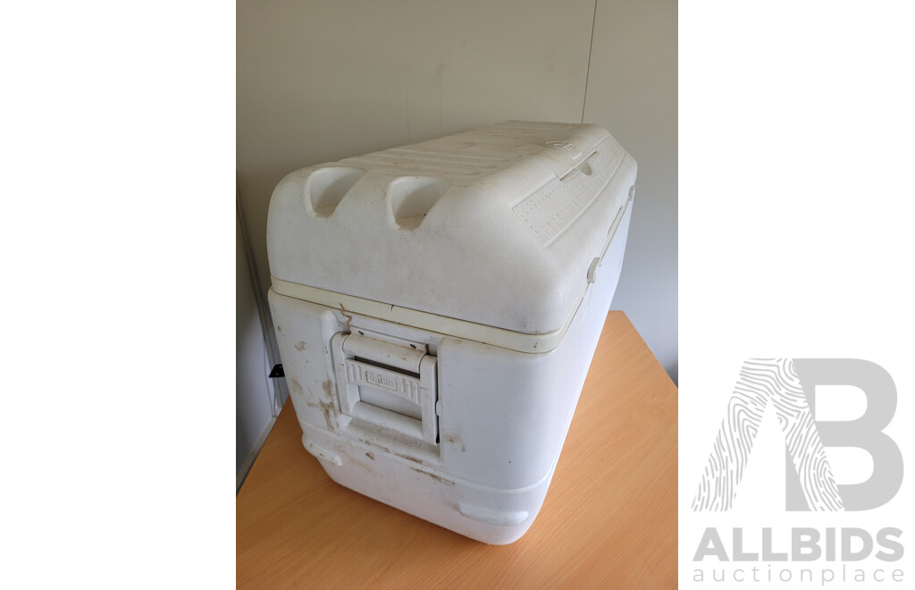 IGLOO Cool Box 165L