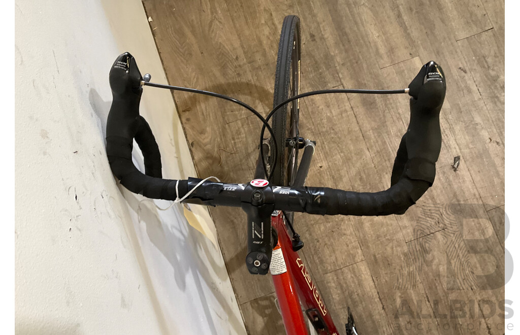 TREK Portland Red Bicycle