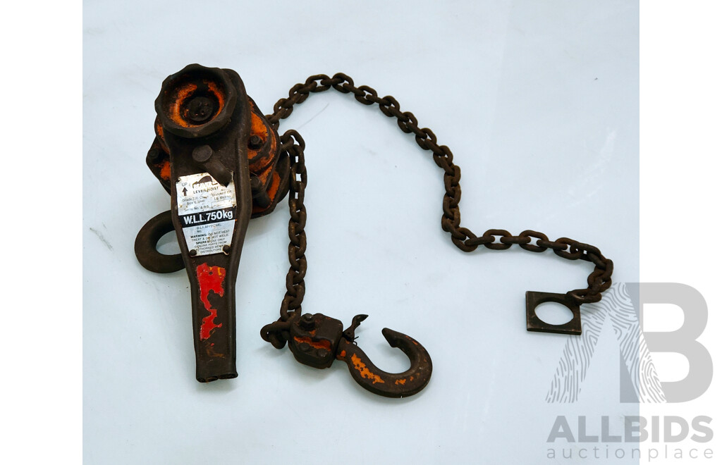 BEAVER Vintage Lever Hoist