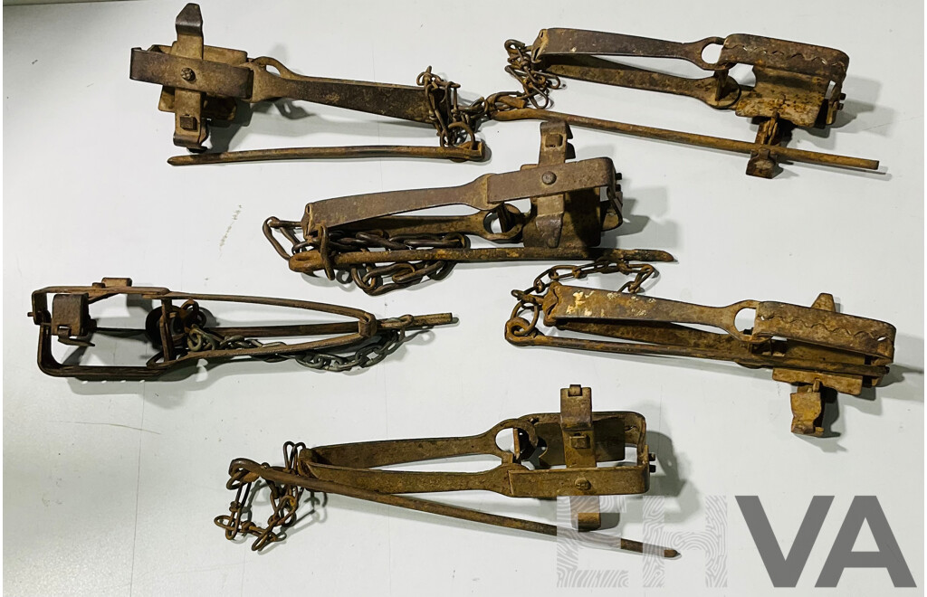 Collection of Vintage Rabbit Traps
