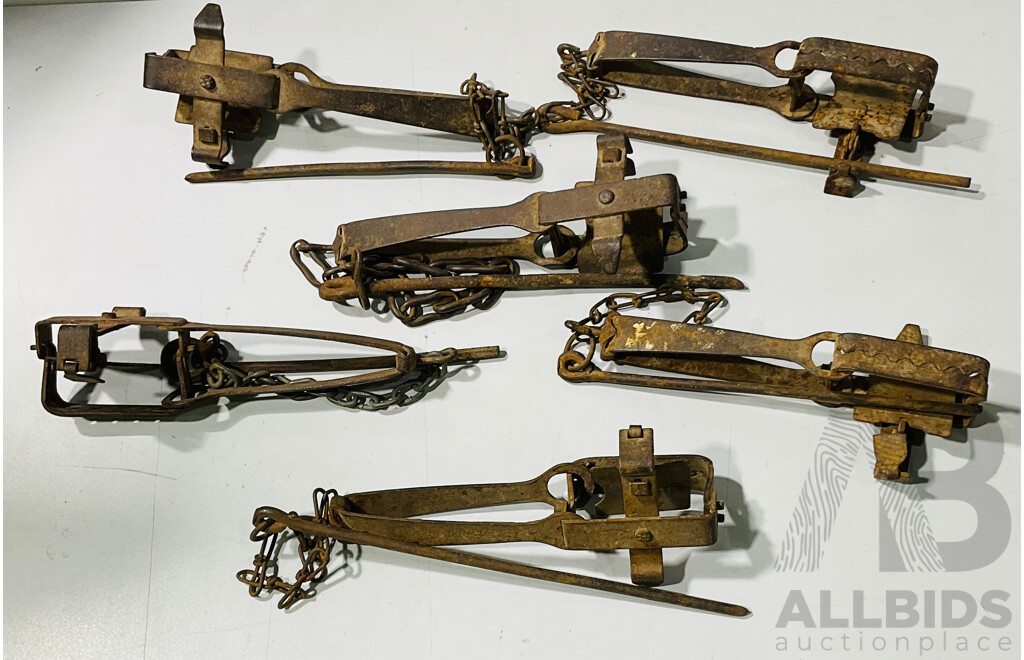 Collection of Vintage Rabbit Traps
