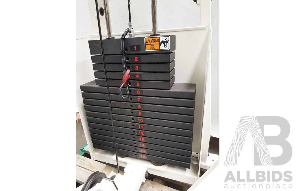 Hoist Dual 300 Multi-Chest Machine