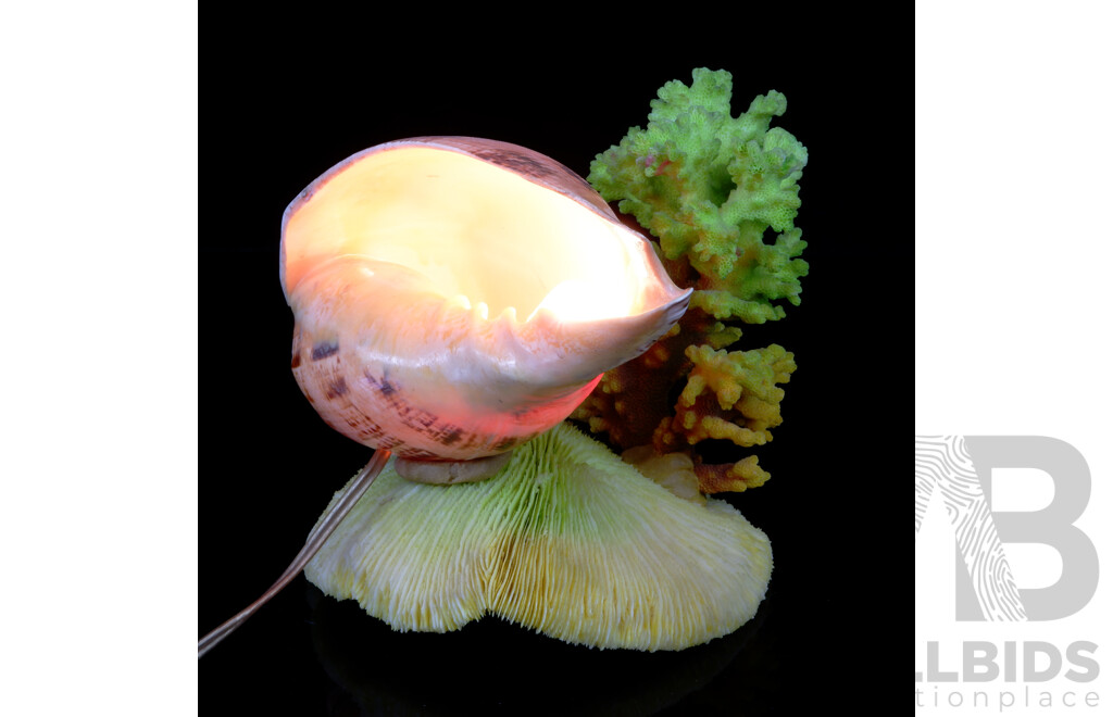 Vintage Lamp with Shell and Two Varieties Coral