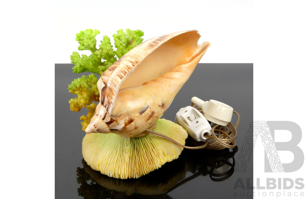 Vintage Lamp with Shell and Two Varieties Coral