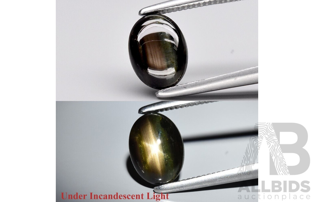 Natural Star Sapphire