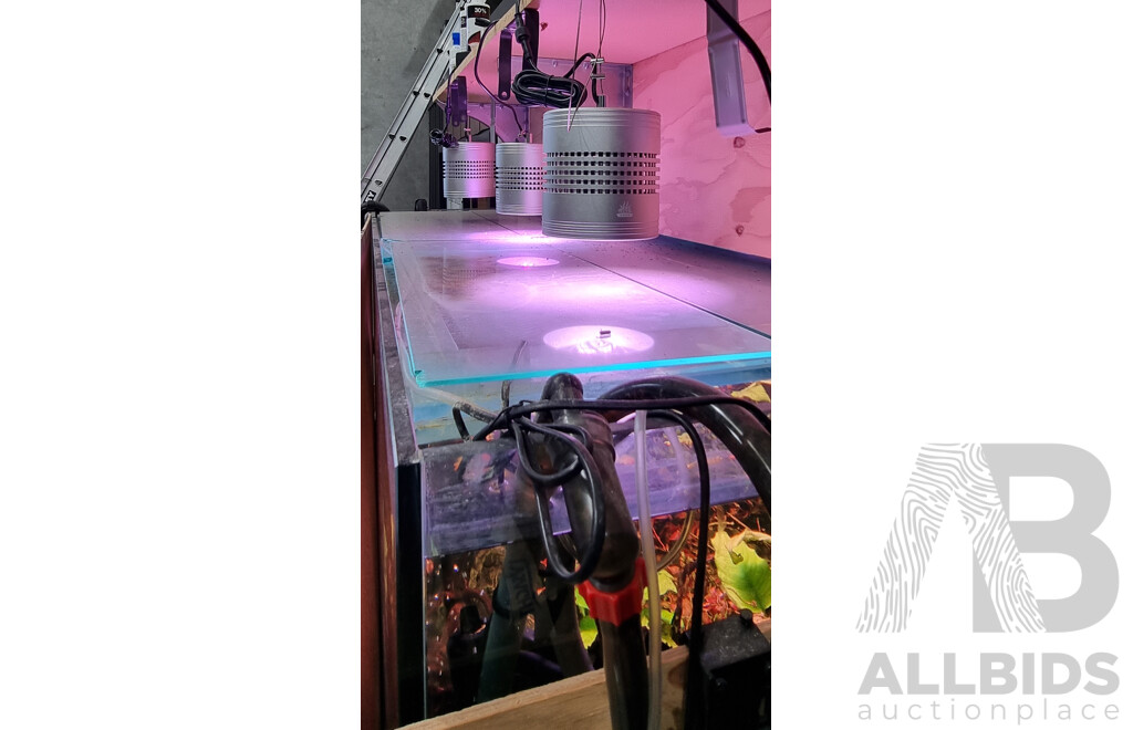 Self-Sustaining Ecosystem Aquarium