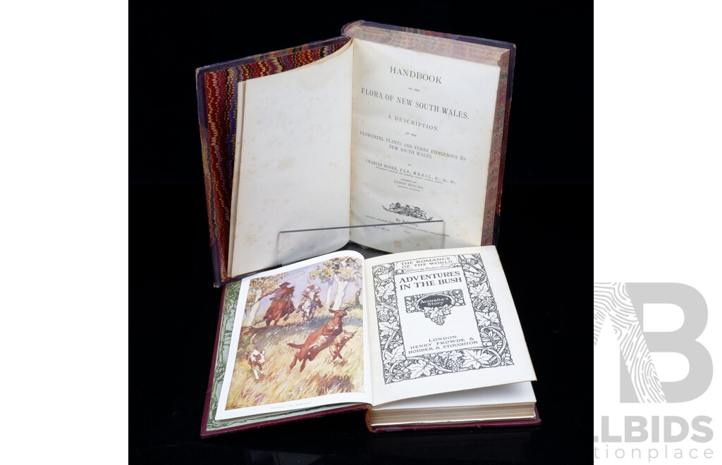 Two Antique Books of Australian Interest Comprising Quarter Bound in Leather Handbook of Flora of NSW by C Moore Along with  Adventures in the Bush Australias Story